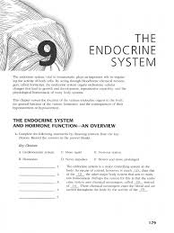 My youngsters transform right into saints as quickly as they see the tinting sheets children may thrill in making their own tinting publication as well. A P Coloring Workbook The Endocrine System Pdf Hormone Endocrine System