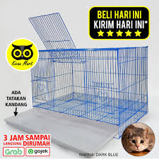 Meskipun kucing bengal termasuk kucing hutan tapi tidak menyurutkan hasrat para penggemar kucing untuk memelihara kucing ini. Harga Kandang Kucing Besar Terbaik Hobi Koleksi Juli 2021 Shopee Indonesia