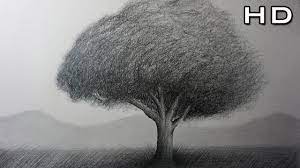 How to draw landscapes, trees, foliage, graphite pencil drawing tips, the scene is scotney castle, graphite pencils used were. How To Draw A Tree Easy With Pencil Step By Step Timelapse Youtube