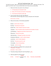 Chapter 12 basic study guide. Key Unit 4 Test Review Guide Cells