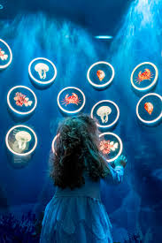 Families Are Invited To Dive Into The Arab Gulf In The Family Exhibition Life On The Coast Almost Liter In 2021 Exhibition Interactive Exhibition Aquarium Landscape