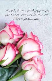 pin by bleedingheartrose light on أدب islamic posters cool words arabic quotes