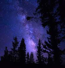 Purple night sky stars galaxy star space black sunset clouds night sky purple sky moon starry universe. 999 Purple Night Sky Pictures Download Free Images On Unsplash