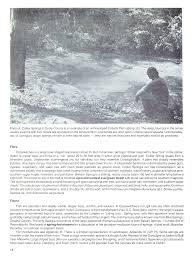 Image result for Cyperus longicarpus