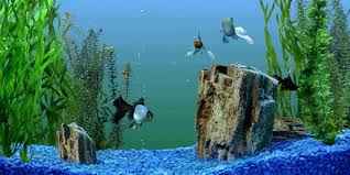 15 diy aquarium decoration ideas you can make at home. Why You Should Use A Fish Tank Background The Aquarium Guide