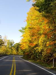 In this column, we provide what the color looks like visually so you can compare it. Fall Colors To Start To Pop In A Week