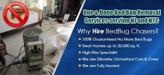 South central ny ag team. Bedbug Chasers The Real One Done Bed Bug Heat Treatment Nj