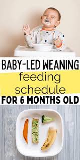 6 Month Old Baby-led Weaning Meal Ideas Feeding Schedule In 2021 Baby Led Weaning Recipes 6 Months Baby Led Weaning Recipes Baby Led Weaning First Foods