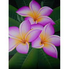 Selain itu orang yang mendengar tentang bunga kamboja pasti akan mengaitkan dengan kuburan. 34 Lukisan Bunga Kamboja Ungu Terbaru Lingkar Png