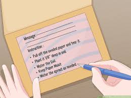 Water the soil as needed, and soon you'll have sprouts emerging. How To Make A Plantable Seeded Card With Pictures Wikihow
