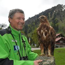 Der steinadler zählt zu den größten heimischen greifvögeln und wird in den alpen nur noch vom bartgeier übertroffen. Steinadler Und Bartgeier In Deutschland Ruckkehr Der Greifvogel Der Spiegel