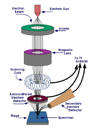 Schematic diagrams and service manuals. Field Emission Scanning Electron Microscope Fesem