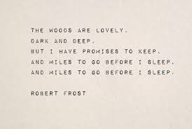 Quoting Literature On Instagram Whose Woods These Are I Think I Know His House Is In The Village Though He Will Not See In 2020 Quotes Literature Before I Sleep