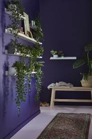 Malmback Bilderleiste Weiss Ikea Deutschland Regal Display Bild Leiste Wohnzimmer Pflanzen