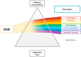Dieses verhalten kann auftreten, wenn mehrere adresslisten enthalten die generierung von offlineadressbuch (oab) auf dem server, auf dem microsoft exchange . A Comprehensive Review Of Overactive Bladder Pathophysiology On The Way To Tailored Treatment European Urology