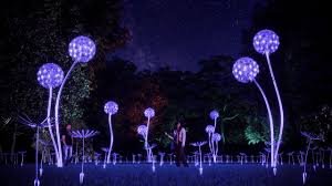 Fairchild tropical botanic garden is among the world's best tropical botanic gardens. Things To Do Miami Nightgarden At Fairchild Tropical Botanic Garden November 23 Through January 6 Miami New Times