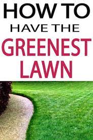 How To Have A Green Lawn Gardenlovin Green Lawn Lawn And Landscape Diy Lawn