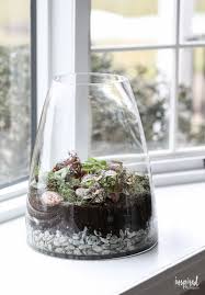 Learn How To Make A Terrarium Terrarium Plants Diy Garden How To Make Terrariums Terrarium Diy Terrarium