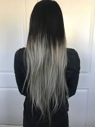 Silver Toner Black And Silver Hair Silver Hair Silver Toner