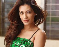 Payal rohatgi is an indian actress and reality tv performer who appears in bollywood films. Payal Rohatgi Wiki Age Boyfriend Husband Family Biography More Wikibio