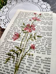 Hope you like this video and share with your friends. Watercolor Flower On Book Page Collage Epherma Junk Journal Etsy Book Page Art Watercolor Books Flower Collage