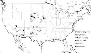 It takes approximately 1h 2m to drive from indianapolis what companies run services between indianapolis, in, usa and bloomington, in, usa? Trends In The Paleodietary Habits Of Fossil Camels From The Tertiary And Quaternary Of North America Sciencedirect