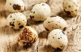 quail eggs 101 everything you wanted