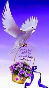 sign in good morning arabic good morning images morning images