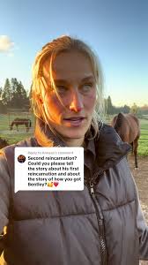Replying to @Annaaa long awaited answers dtraight from cindy 🤠🥹😵‍💫😍  #fyp #horses #horsesoftiktok #starbirdranch #reincarnation #baby  #younghorse #animalcommunicator #naturalhorsemanship #horselife ...