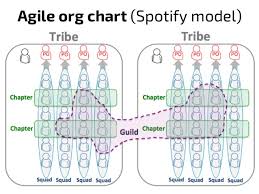 Agile Scrum Org Chart Www Bedowntowndaytona Com