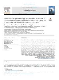 Image result for Cyphostemma crotalarioides