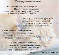 pro grustnogo kota evgeniya maslennikova stihi ru