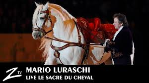 Sa meilleure amie est morte, et son cheval a été traumatisé. Mario Luraschi Alchimie Equestre Le Sacre Du Cheval Full Show Hd Youtube