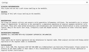 Lymphoma typically happens in older felines and most commonly occurs in the small intestines, says dr. Squamous Cell Carcinoma In Pets Long Beach Animal Hospital