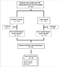 Flow Diagram Illustrating The Inclusion And Exclusion Of