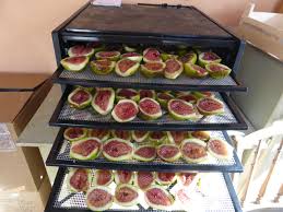 Deshydrater Les Fruits Et Legumes Passion Potager Recettes De Cuisine Recette Fruits Et Legumes