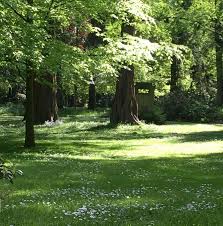 Ich hoffe ich kann euch damit auf andere gedanken bringen und. Alter Friedhof Und Botanischer Garten Themenfuhrung 2017