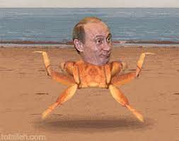 Your favorite computer file type! Vladimir Putin Gif Tumblr Putin Funny Videos Funny Vladimir Putin