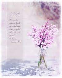 Beyond Layers Class Flower Quotes Bloom Quotes Blossom Flower