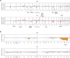 It also requires both estrogen and testosterone to be present (the estrogen can 3) prostate cancer is caused by aromatisation, which increases oestradiol levels. Mutational Profile Of Aggressive Localised Prostate Cancer From African Caribbean Men Versus European Ancestry Men European Urology