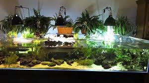 Turtle Tank Turtle Tank Turtle Habitat Pet Turtle