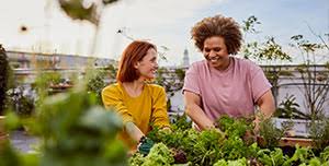 Profitieren sie beispielsweise vom elektronischen kontoauszug. Privatkunden Vr Bank In Holstein Eg