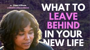 Dani Ellison's Instagram, Twitter & Facebook