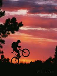 Silhouetted Biker Pulls A Wheelie At Twilight Photographic Print David Edwards Allposters Com Mountain Biking Photography Mountain Biker Bike Photography