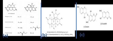 Image result for Quassia undulata
