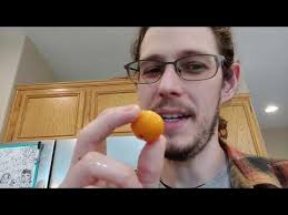 Trying Jelly Palm Fruit