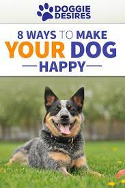 Maybe you would like to learn more about one of these? 8 Ways To Make Your Dog Happy And Keep Them That Way Dog Happy Dog Training Training Your Dog