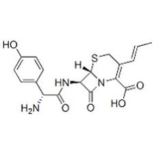 Image result for Cefprozil