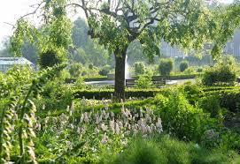 Jardin des plantes contact number: Jardin Des Plantes Parks And Gardens