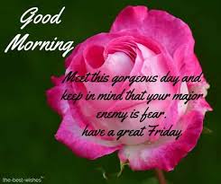 110 Beautiful Good Morning Wishes For Friday Best Images Contact morning prayers and quotes on messenger. good morning wishes for friday